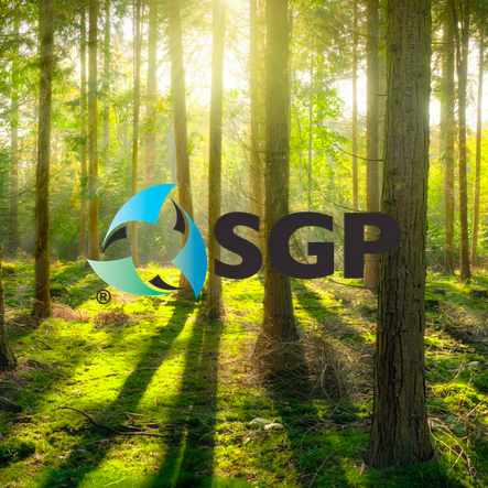 Sustainable Green Printing Partnership (SGP) Continuous Improvement Project