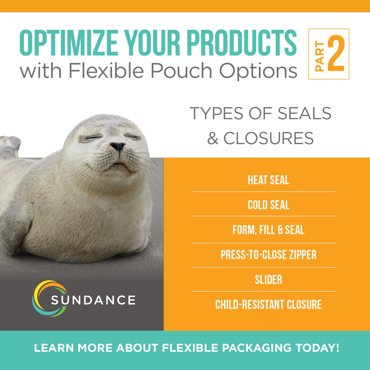 Optimize Your Products with Flexible Pouch Options (Part 2)